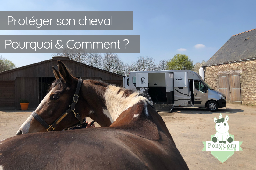 vans chevaux a donner